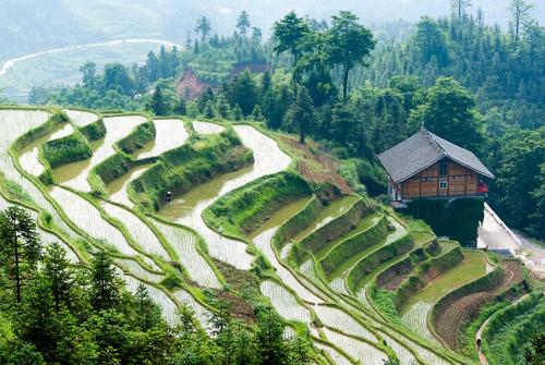 梯田美景不仅仅在云南和广西,湖南8万亩梯田成了农业文化遗产